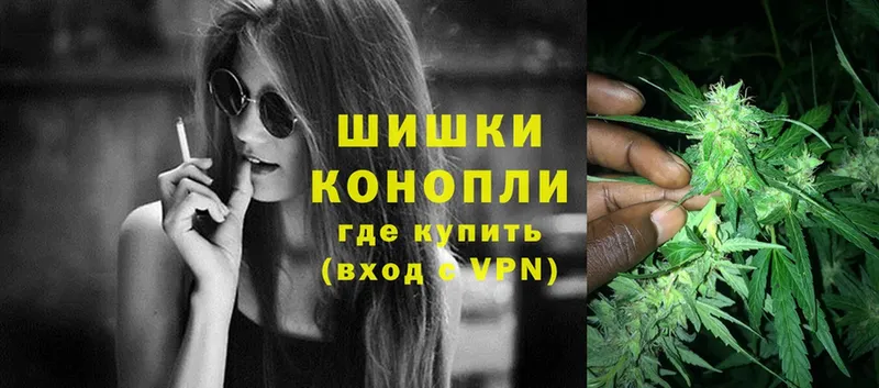 купить наркоту  Кириллов  кракен вход  Шишки марихуана SATIVA & INDICA 